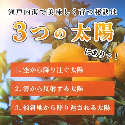 愛媛県今治産柑橘 甘平 5kg シャキッと食感の大人気果物【ご家庭用】【C078】【配送不可地域：離島】【1304861】