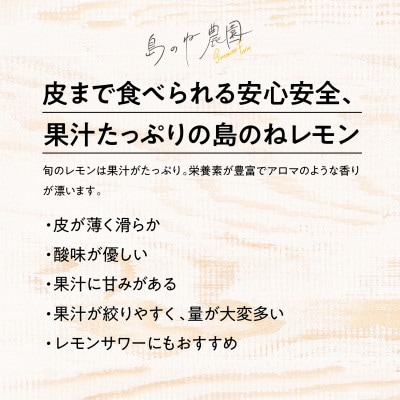 【訳あり】島のねレモン　2.5kg 【K001600】【1459575】