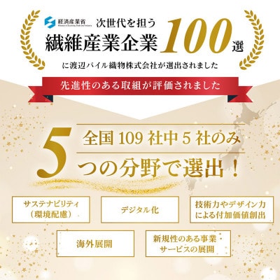 (今治タオル)しっかりサマルカンド バスタオル 2枚セット ブルー【ID05380BLBL】【1610128】