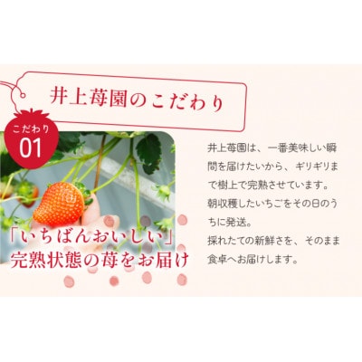 äºäžèºåãããŸããšã(270gÃ2ããã¯)ãV002540ããé
éäžå¯å°åïŒé¢å³¶ã»åæµ·éã»æ²çžçãã1660699ã