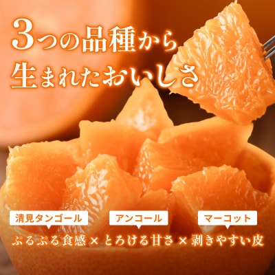 ãå
è¡äºçŽãããšã 2.5kg å®¶åº ææ© ææ©ã®å€§ãããå°ç®±ãé
éäžå¯å°åïŒé¢å³¶ãã1738873ã