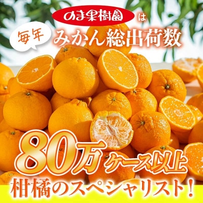 のま果樹園のデコタンゴール(3kg)[K003680K3]【1721909】