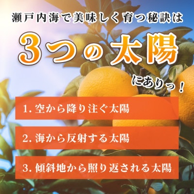 えひめ 柑橘 今治産 伊予柑 10kg 【B208】【1082878】