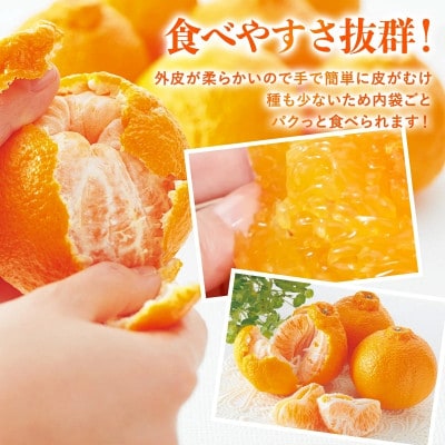 のま果樹園のデコタンゴール(2kg)[K003680K2]【1721908】