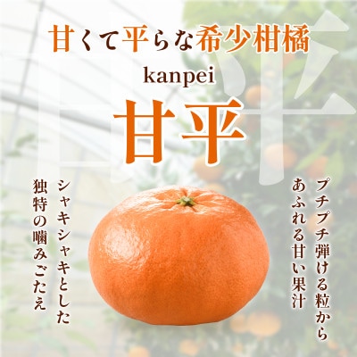 【先行予約】甘平 2.5kg 家庭用 高級柑橘 甘い 小箱 愛媛県オリジナル品種【配送不可地域：離島】【1738867】