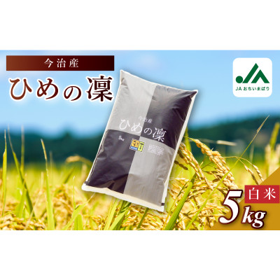 今治産　米「ひめの凜」　5kg　【VB01580】【1405896】