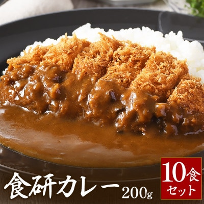 食研カレー　200g×10袋入り【VB02360SET10】【1553249】