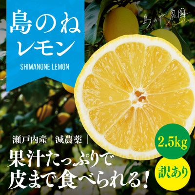 【訳あり】島のねレモン　2.5kg 【K001600】【1459575】