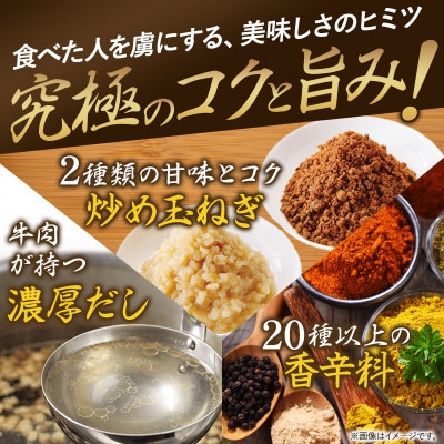 食研カレー200g×30袋 【VB02360SET30】【1658548】