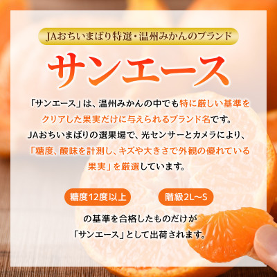 ãå
è¡åä»ãç¹éž ãã©ã³ãæž©å·ã¿ããããµã³ãšãŒã¹ã4kg é«ç³åºŠ ã¿ãã KB02210ãé
éäžå¯å°åïŒé¢å³¶ãã1304859ã