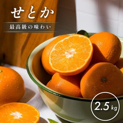 【先行予約】【数量限定】ホリ田ヤ せとか 2.5kg【K002420】【1655218】