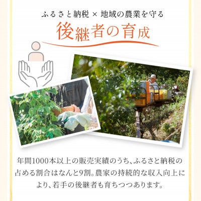 宿¹å°ã®ã¿ãããžã¥ãŒã¹ è±ã¿ããã1000mlÃ6æ¬ã»ããã1674412ã