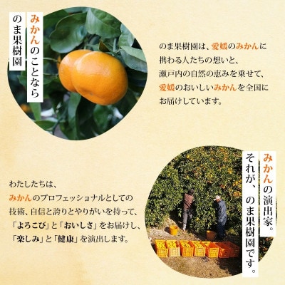 ã®ãŸææš¹åã®ããŸãªã¿ã¿ãããžã¥ãŒã¹ 500ml/12æ¬ãV003020SET12ãã1634396ã