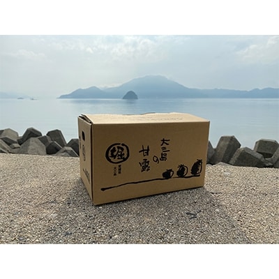 ホリ田ヤの甘平2.5キロ　ホリ田ヤのみかんの中で最高峰の甘さを誇る逸品【KB00820】【1117740】