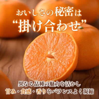 ãå
è¡äºçŽãããšã 2.5kg å®¶åº ææ© ææ©ã®å€§ãããå°ç®±ãé
éäžå¯å°åïŒé¢å³¶ãã1738873ã
