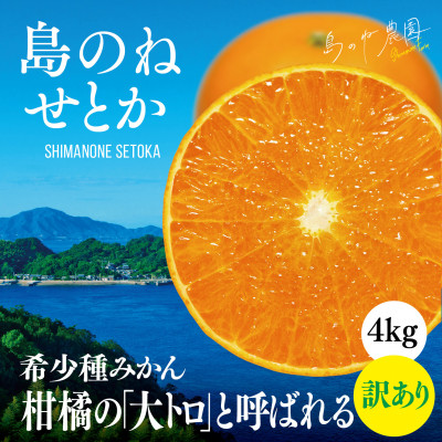 【島のね農園ブランド】島のね せとか(4kg)【KB01610】【1419500】