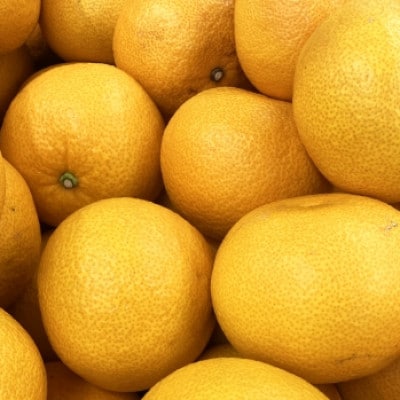 [宗方印][数量限定]八朔 約3kg(家庭用) [K003640K3]