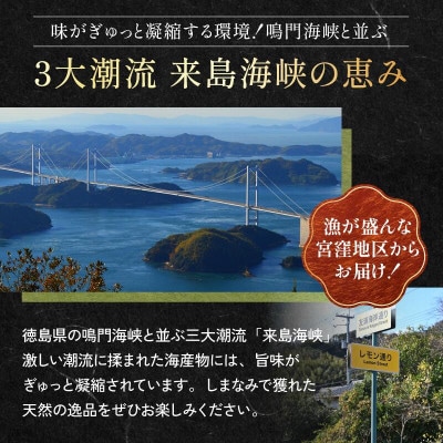 【村上水産】今治産しまなみわかめ 3袋セット [V002520SET3]【1701959】