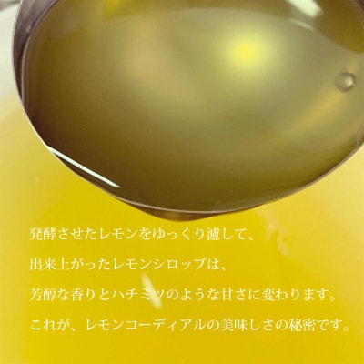 レモンコーディアル・ミニボトル5本セット【1342766】