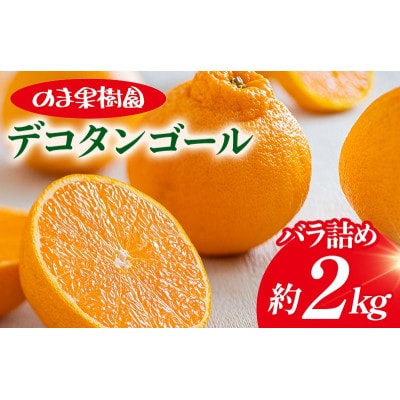 のま果樹園のデコタンゴール(2kg)[K003680K2]【1721908】