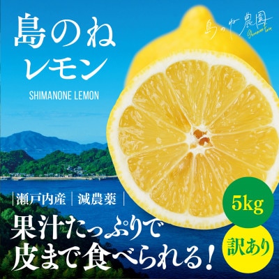 【訳あり】島のねレモン 5kg 【K001610】【1460946】