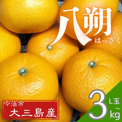 [先行予約]大三島産 八朔 約3kg[K003210L3]
