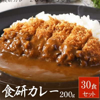食研カレー200g×30袋 【VB02360SET30】【1658548】