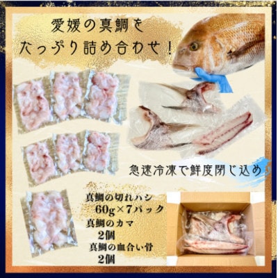 さかなやのまかない食材【愛媛の真鯛】生食用切り落とし1パック付き【V001740】【配送不可地域：離島】【1658954】