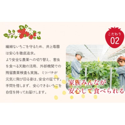 äºäžèºåãããŸããšã(270gÃ2ããã¯)ãV002540ããé
éäžå¯å°åïŒé¢å³¶ã»åæµ·éã»æ²çžçãã1660699ã