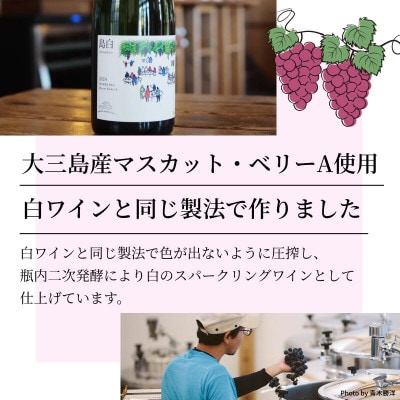 ãæ°ééå®ãå³¶çœã¹ããŒã¯ãªã³ã°ã750mlããV003320ããé
éäžå¯å°åïŒé¢å³¶ãã1722958ã