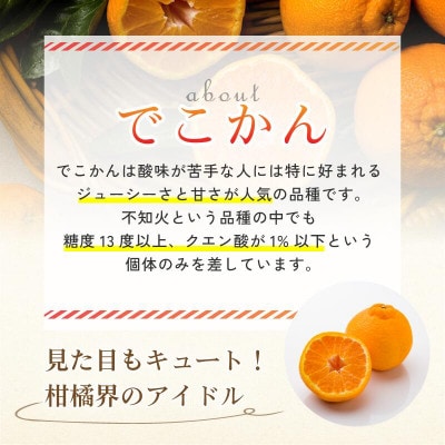 【先行予約】【数量限定】ホリ田ヤ でこかん 2.5kg【K002430】【1655215】