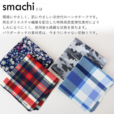 smachi(スマチ) ノンアイロンハンカチ メンズ 2枚 Bセット【VB01442】【1395288】