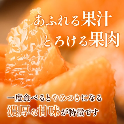 ãå
è¡äºçŽãããšã 2.5kg å®¶åº ææ© ææ©ã®å€§ãããå°ç®±ãé
éäžå¯å°åïŒé¢å³¶ãã1738873ã