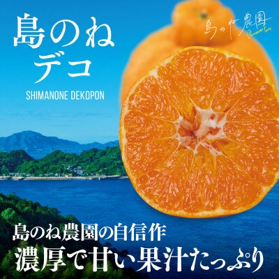 【島のね農園】プレミアム不知火 島のねデコ(4kg)【KB01590】【1419528】