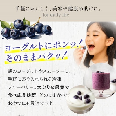 冷凍ブルーベリー(スタンディングパック)150g×3パック [VB00780]【配送不可地域：離島】【1649380】