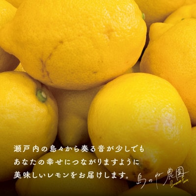 【訳あり】島のねレモン 5kg 【K001610】【1460946】