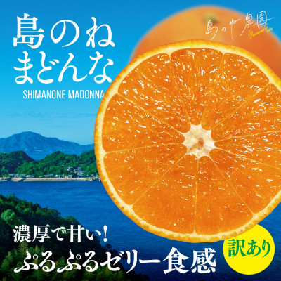 【先行受付】島のね農園 まどんな(4kg) 【K001630】【1474789】