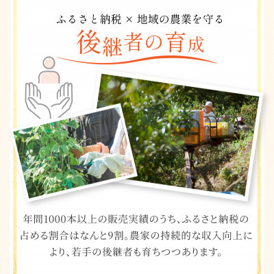 宗方印のみかんジュース 3本セット【B66】【1286167】
