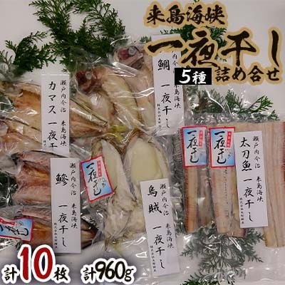 来島海峡一夜干し　詰め合せ【B240】【配送不可地域：離島】【1022494】