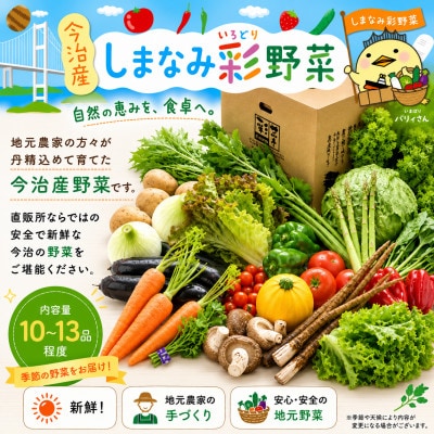 しまなみ彩野菜セット(今治産野菜の詰合せ)【VB00100】【配送不可地域：離島】【1002351】