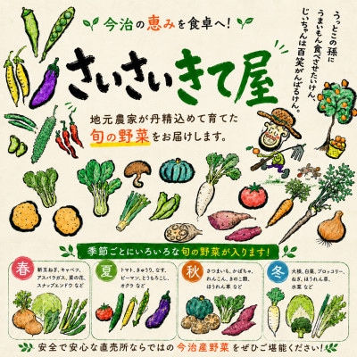 しまなみ彩野菜セット(今治産野菜の詰合せ)【VB00100】【配送不可地域：離島】【1002351】