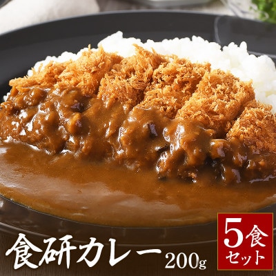 食研カレー　200g×5袋入り【VB02360SET5】【1553248】