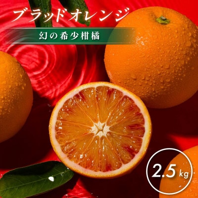【先行予約】【数量限定】ホリ田ヤ ブラッドオレンジ 2.5kg【K002440】【1655214】