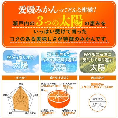 のま果樹園の愛媛みかん(約3kg)バラ詰め【1759295】