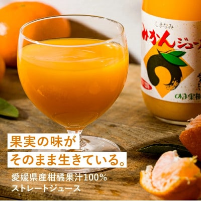 ã®ãŸææš¹åã®ããŸãªã¿ã¿ãããžã¥ãŒã¹ 500ml/12æ¬ãV003020SET12ãã1634396ã