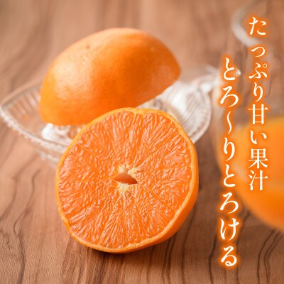 ã宿¹å°ããæ°ééå®ãããšã çŽ1.5kg(å®¶åºçš) ãK003570K1.5ãã1676976ã