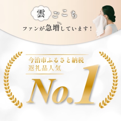 (今治タオル) 雲ごこち バスタオル 2枚セット グレー 【IC05170BT2GY】【1527502】