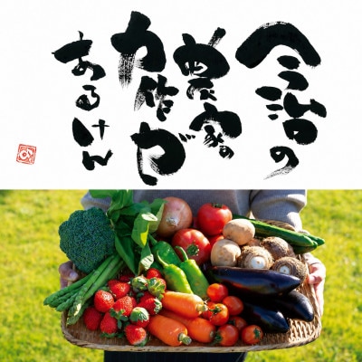 しまなみ彩野菜セット(今治産野菜の詰合せ)【VB00100】【配送不可地域：離島】【1002351】