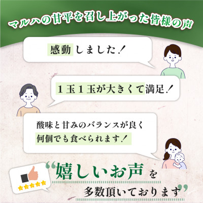 【先行予約】マルハ　甘平　4L〜3L　8〜10玉　2025年1月から順次発送【K002030】【配送不可地域：離島】【1519945】