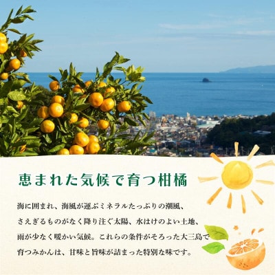 【先行予約】【数量限定】ホリ田ヤ でこかん 2.5kg【K002430】【1655215】